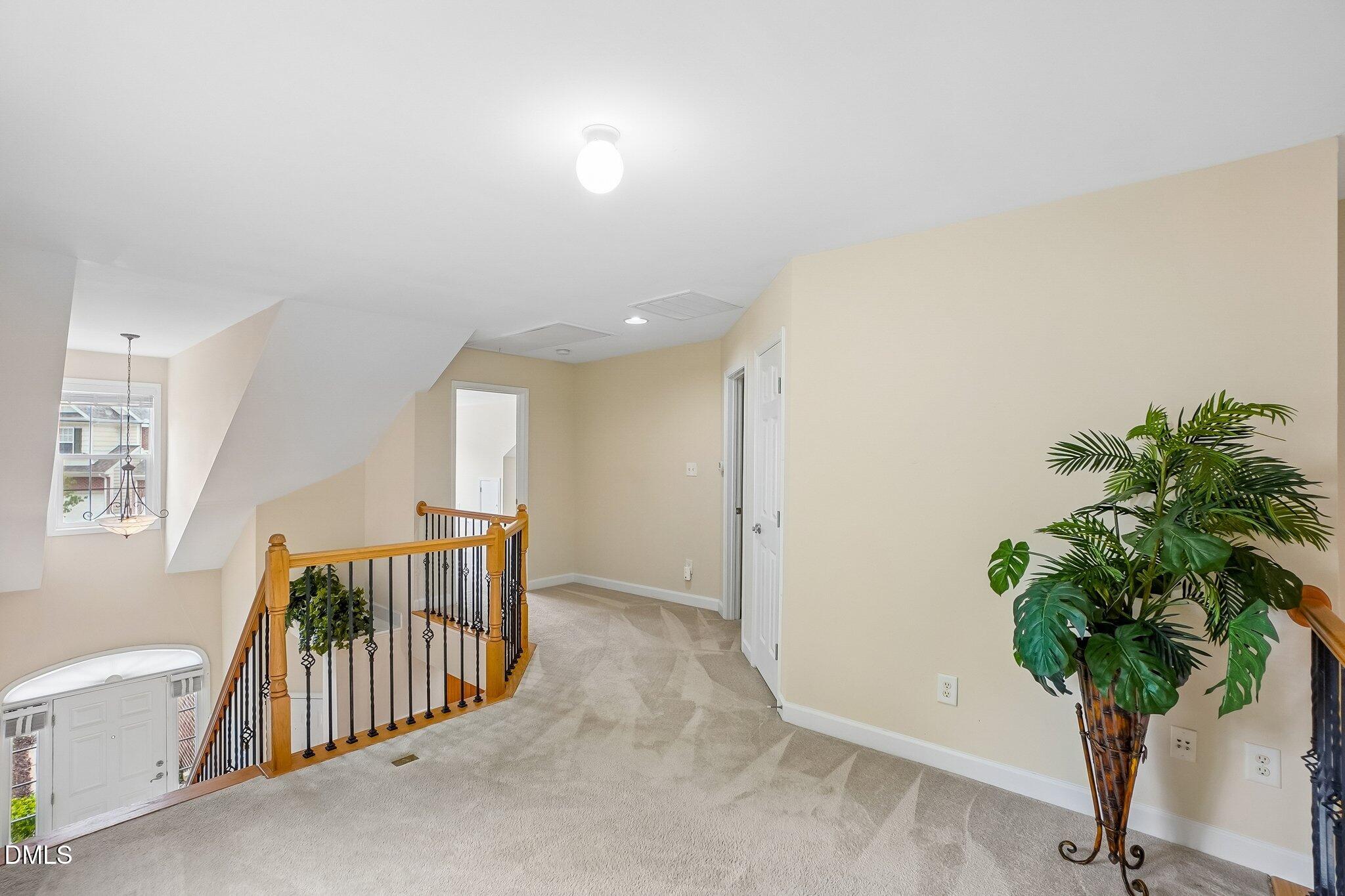 807 Swan Neck Lane Property Photo 23