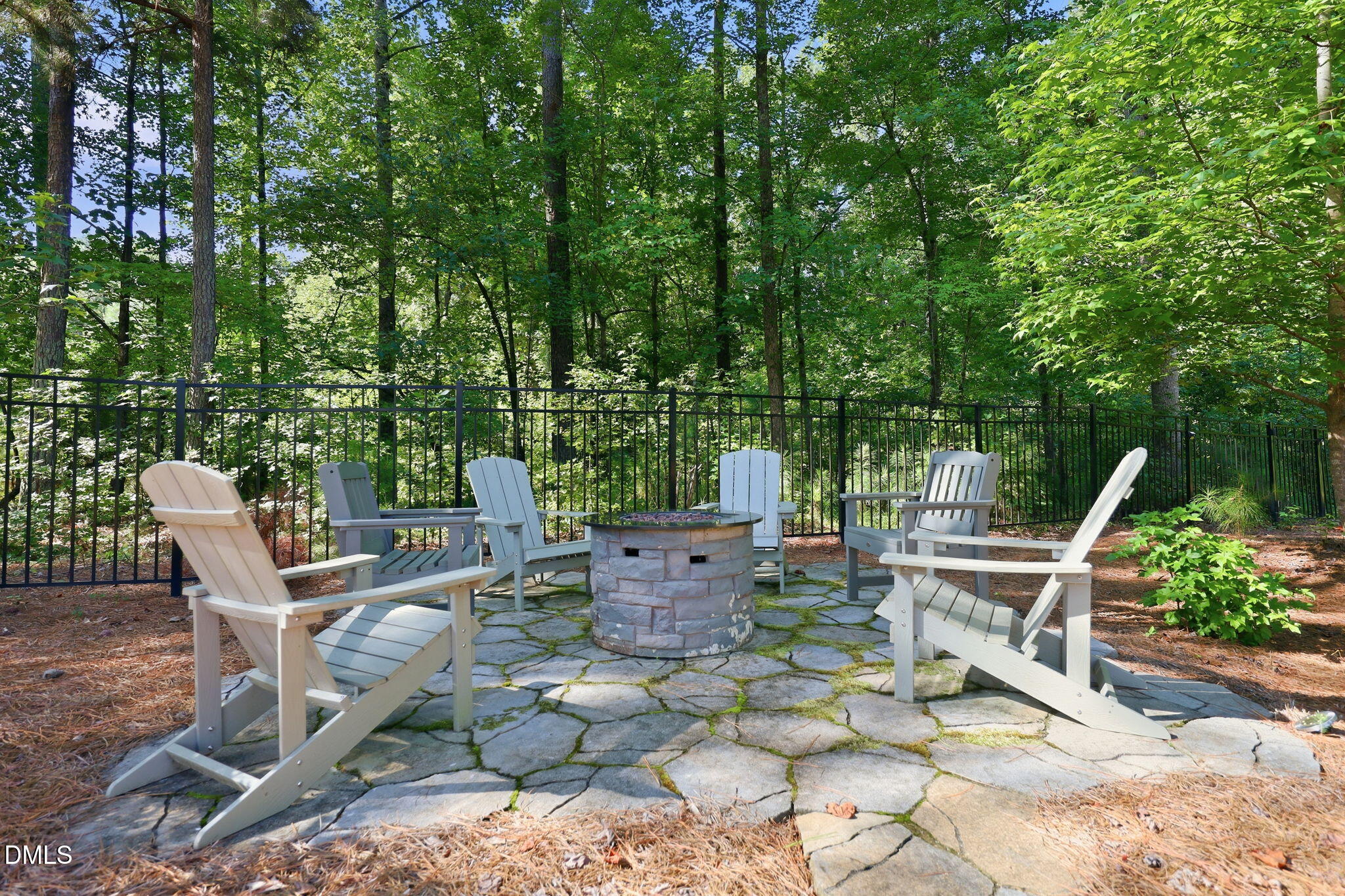 209 Old Ballentine Way Property Photo 58