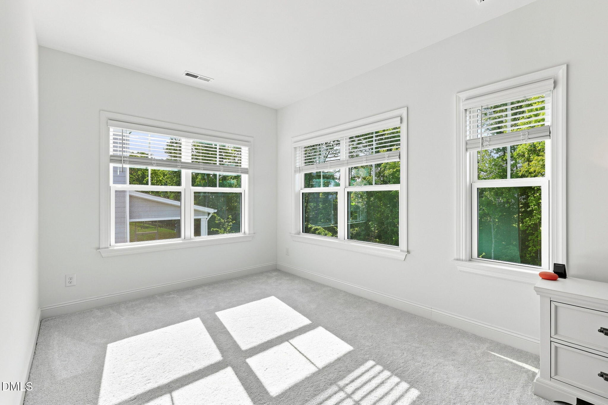 728 Hardin Hill Lane Property Photo 49