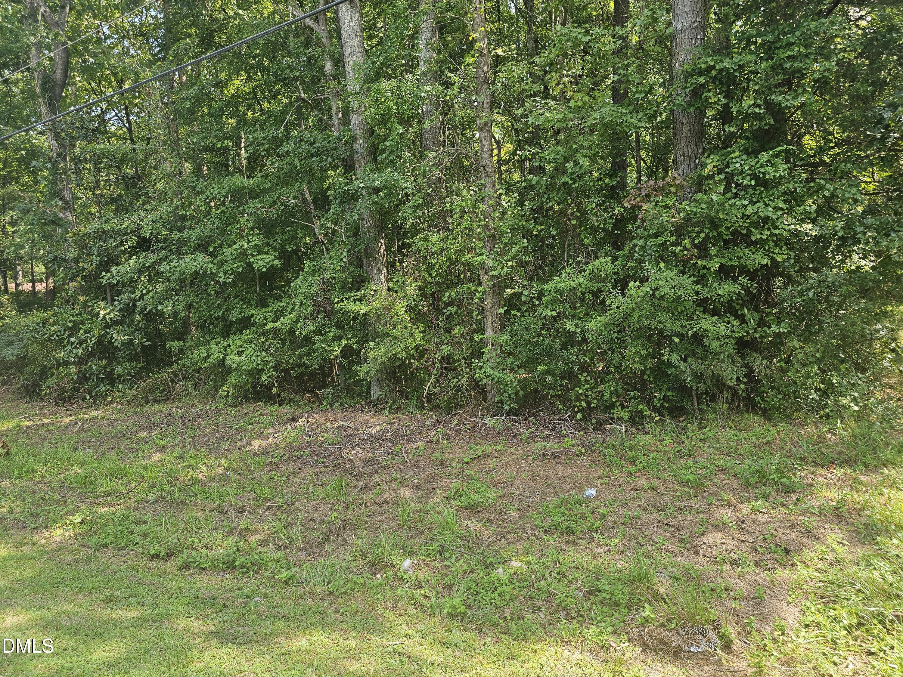 0 Lyn Street Property Photo 1