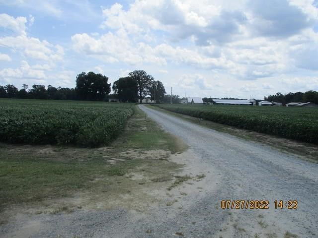 382 Pig Cradle Lane Property Photo 6