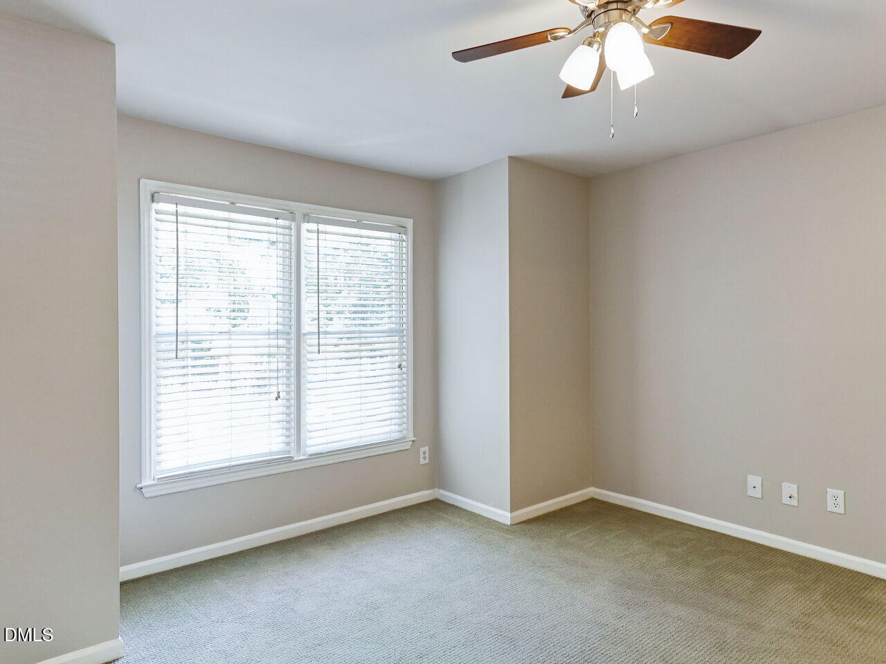 117 Abingdon Court Property Photo 21