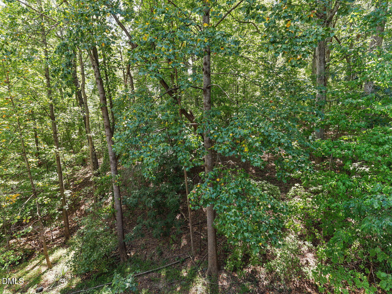 117 Abingdon Court Property Photo 28