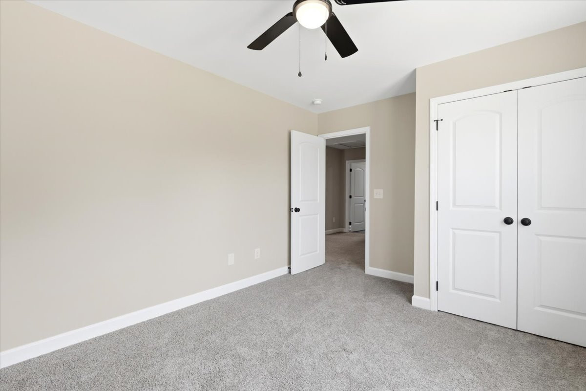 125 Wilson Street Property Photo 29