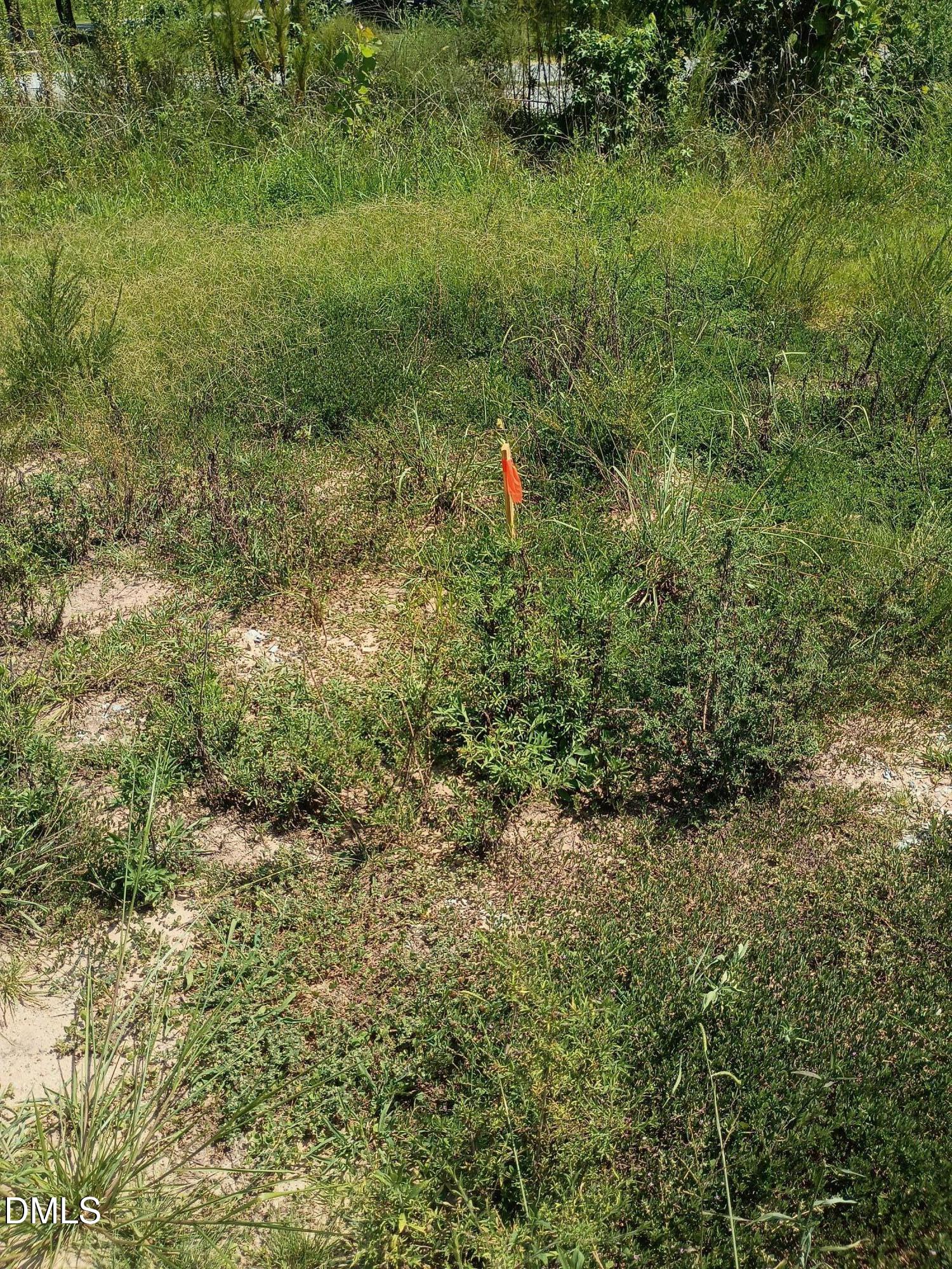 2002 Riddle Road Property Photo 4