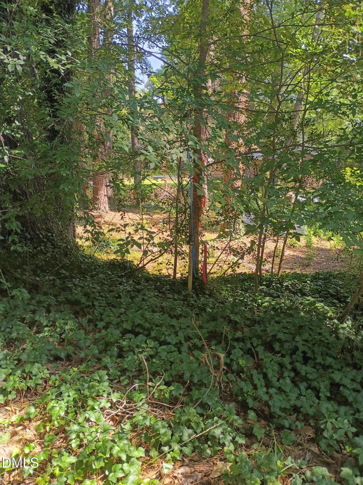 2905 Friar Tuck Road Property Photo 2