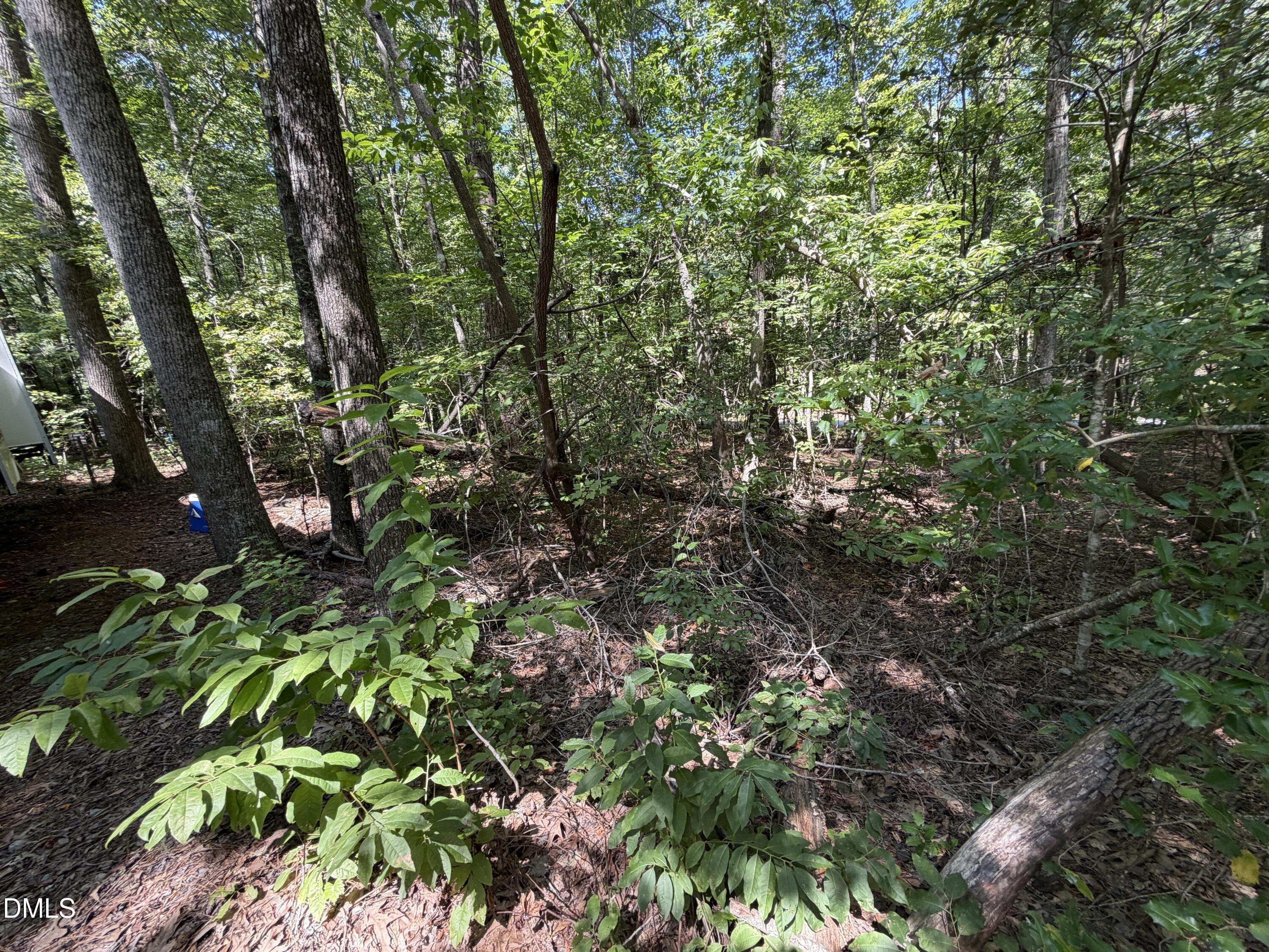 126 Poma Drive Property Photo 5