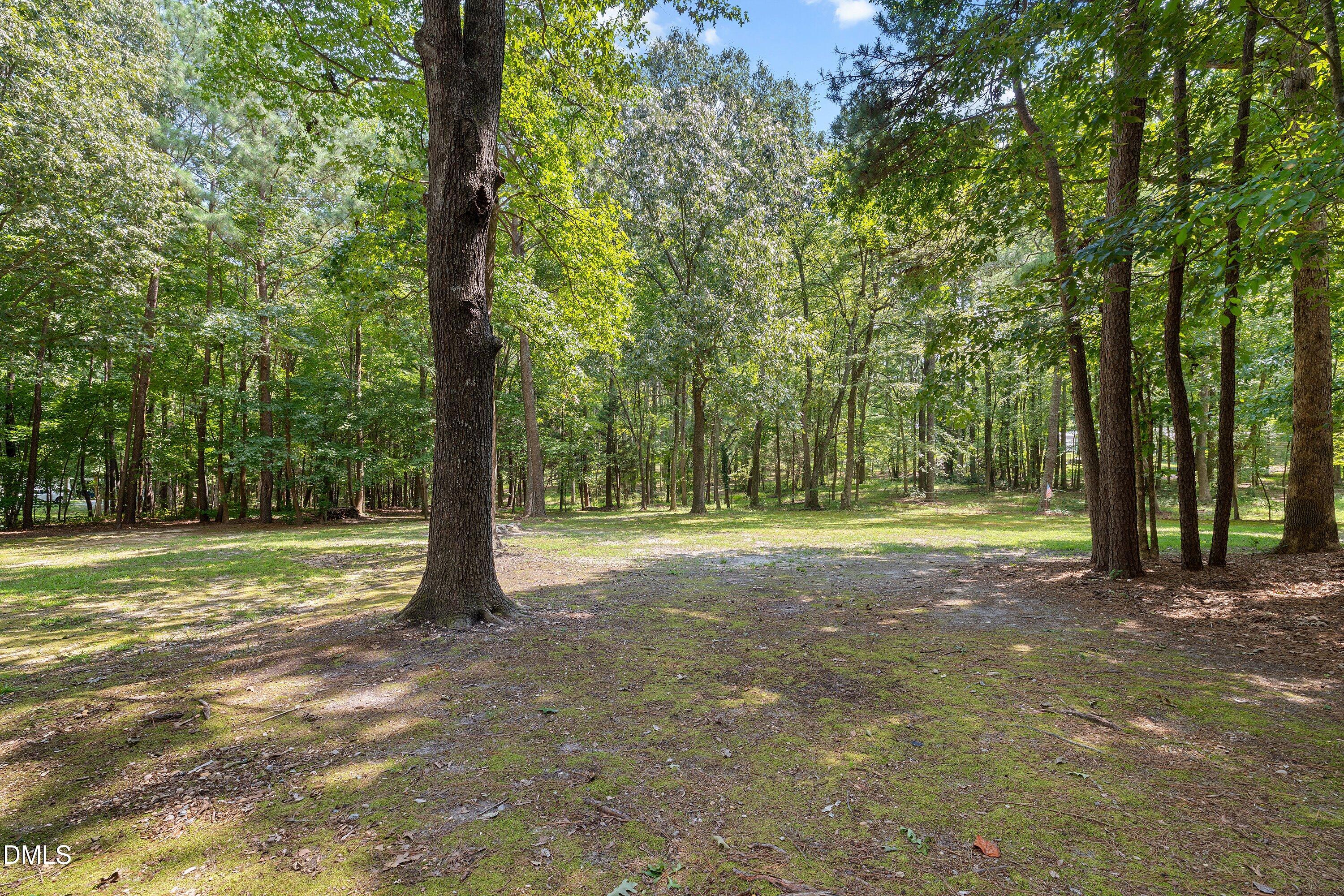 285 Atkinson Farm Circle Property Photo 5