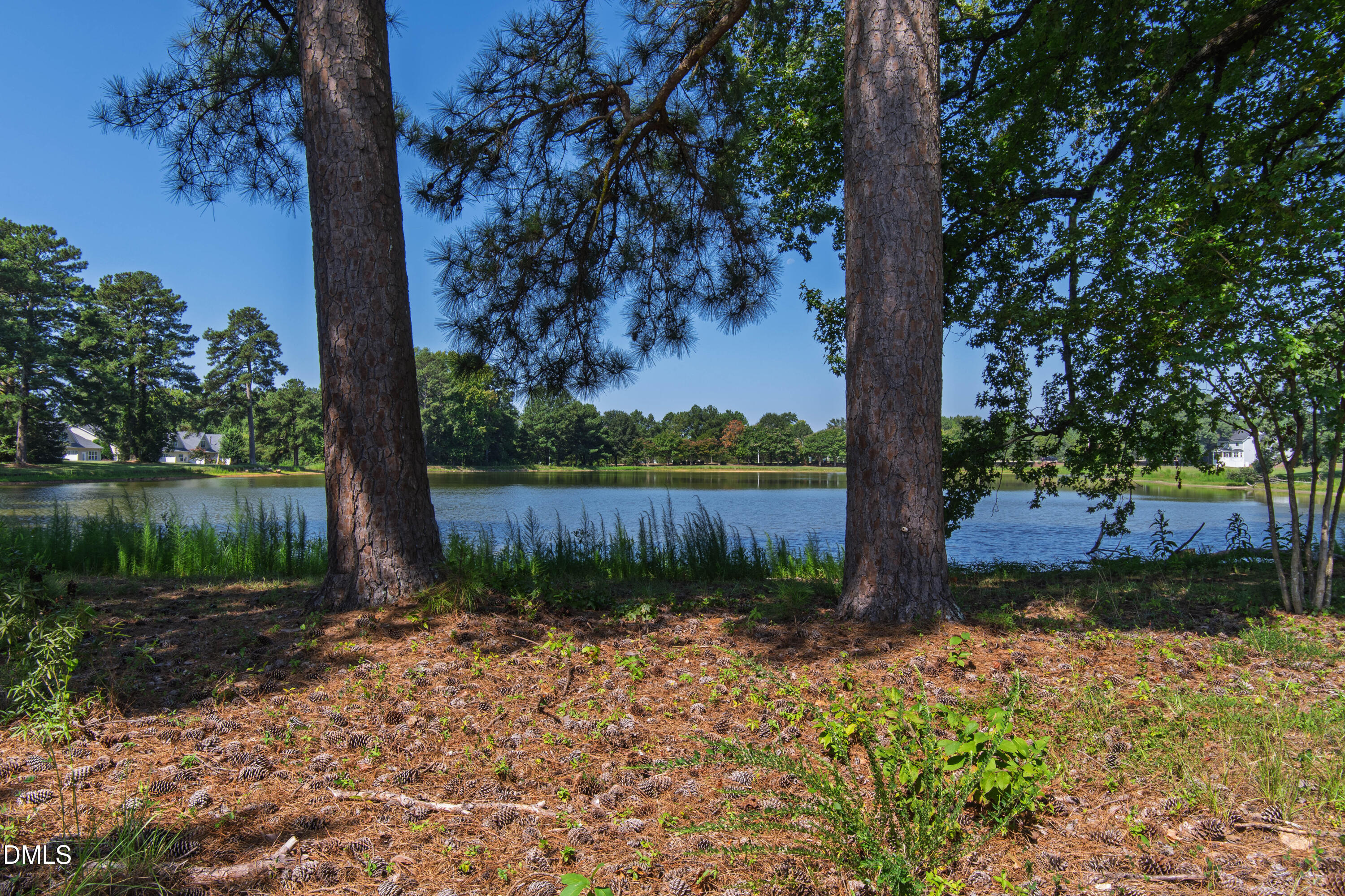 4820 Homeplace Drive Property Photo 43