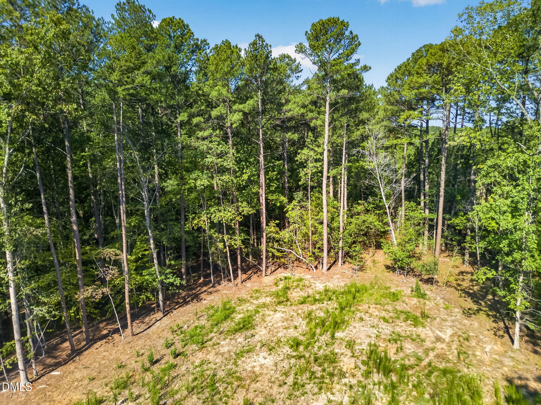 7657 Stony Hill Road Property Photo 4