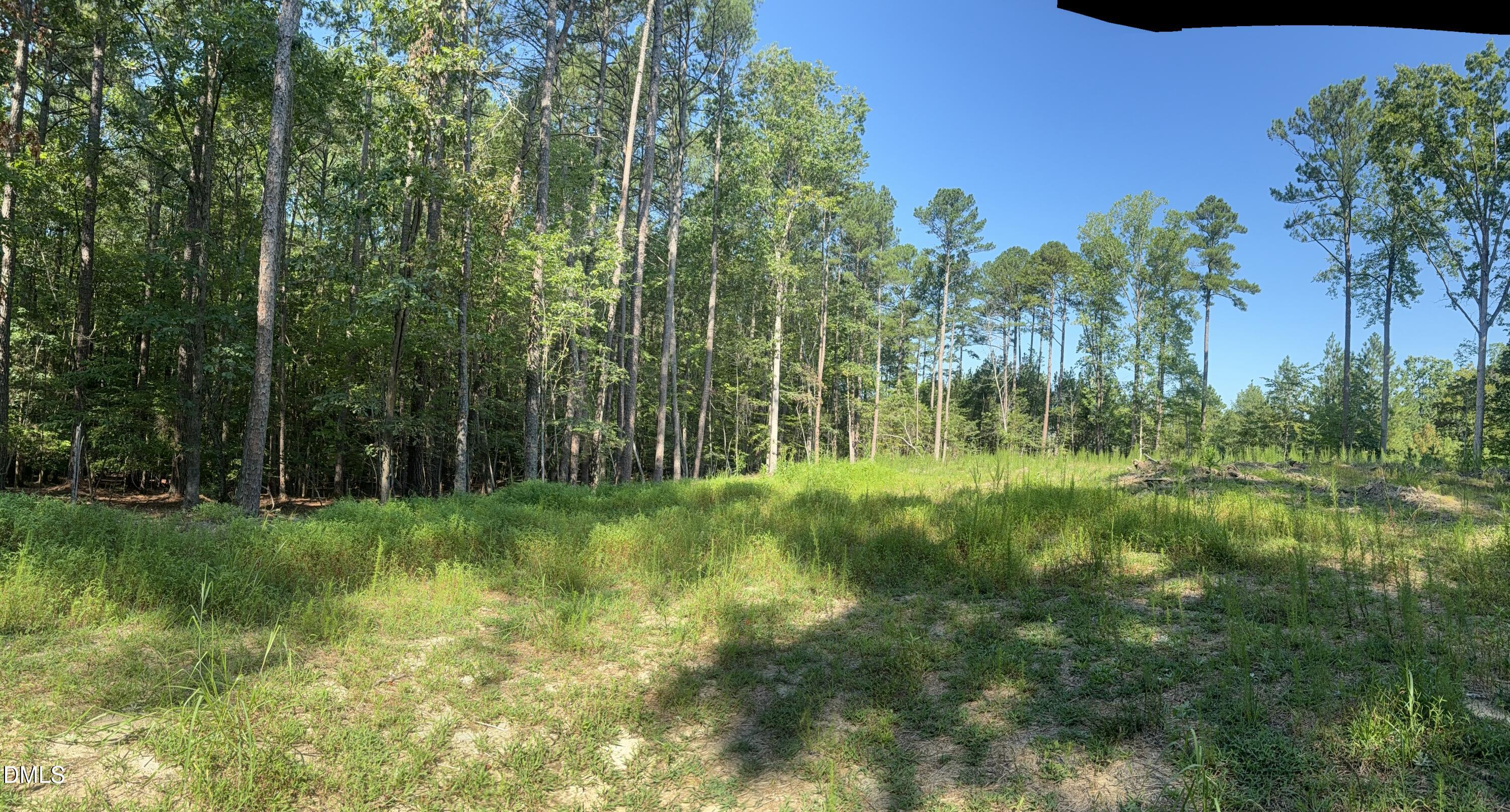 7657 Stony Hill Road Property Photo 15