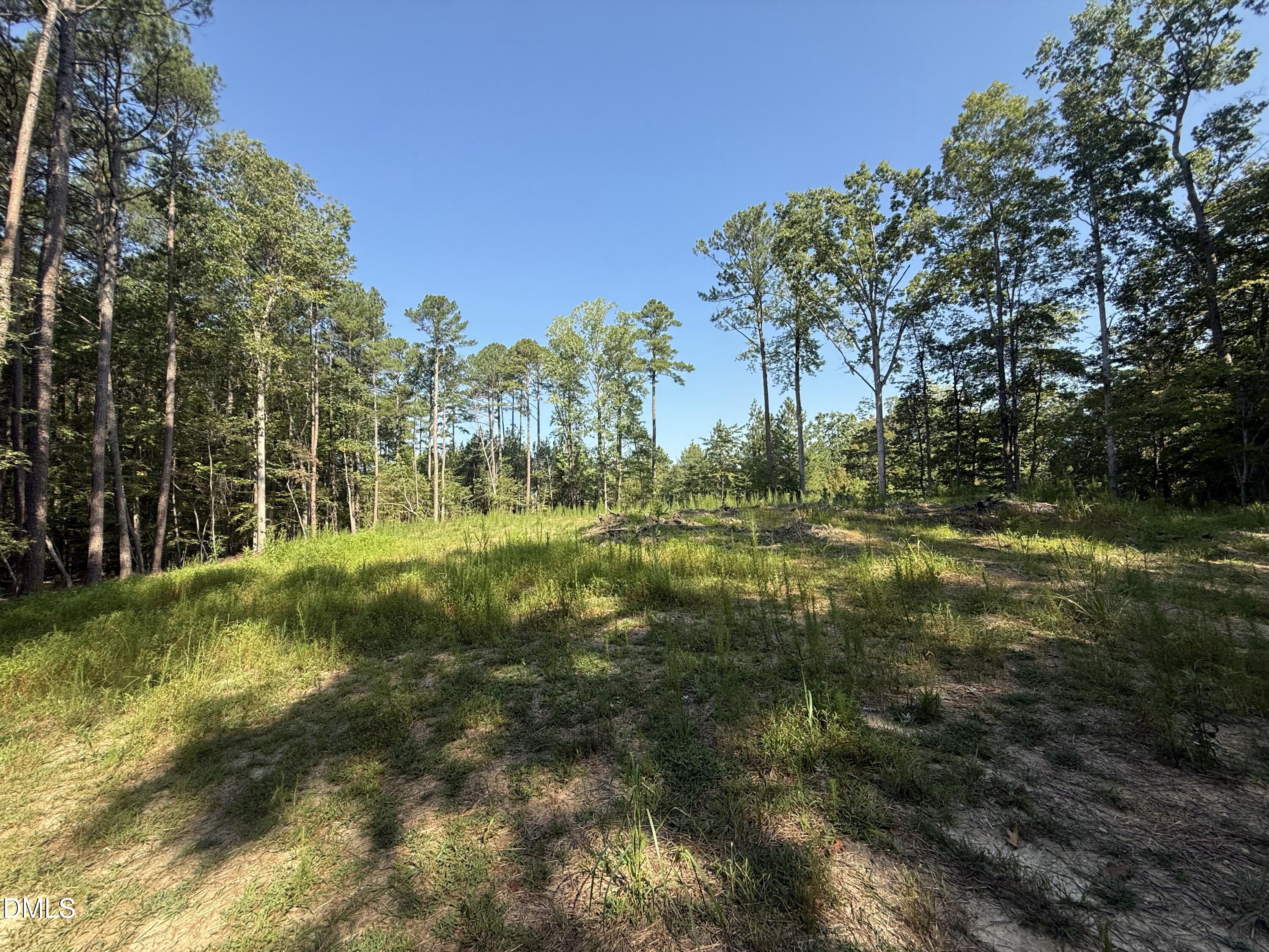 7657 Stony Hill Road Property Photo 16