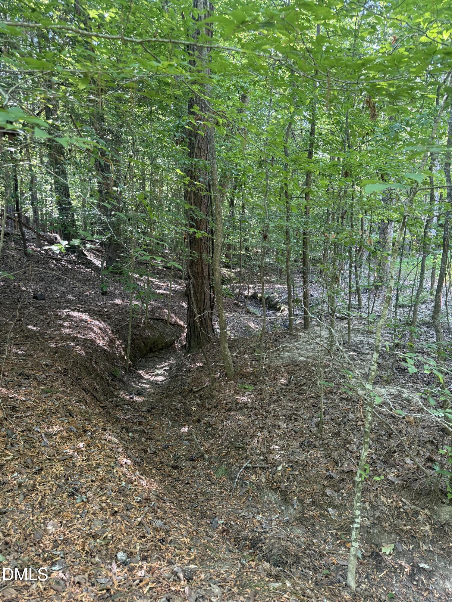 7657 Stony Hill Road Property Photo 18