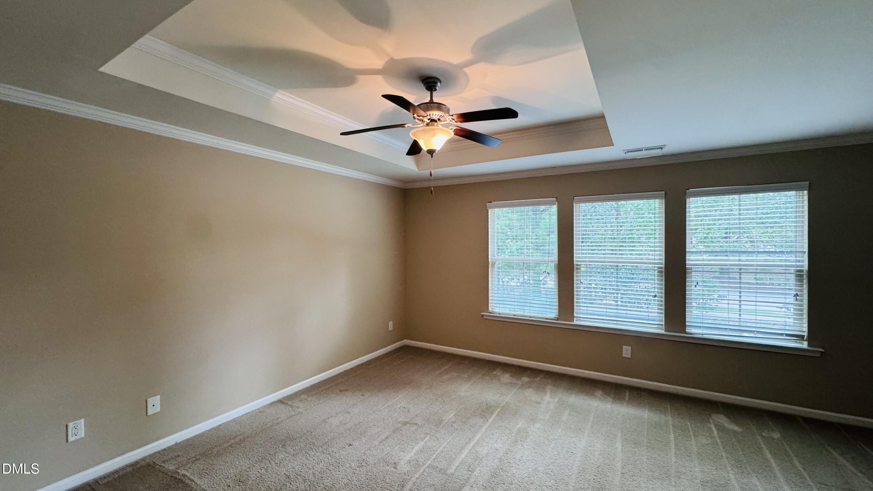 3806 Prince Noah Lp Property Photo 12