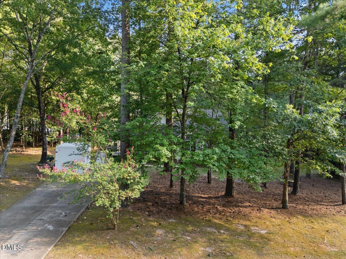 4113 Geneva Drive Property Photo 48