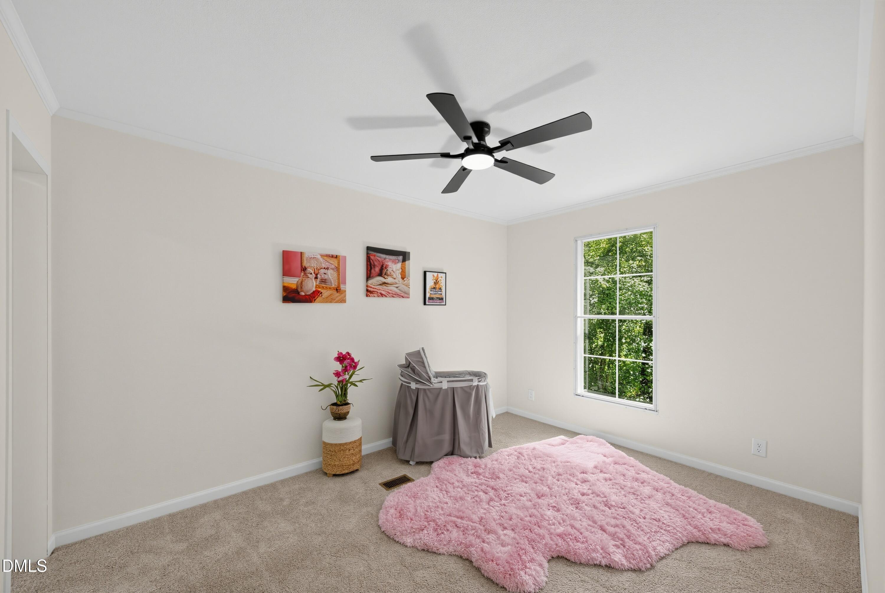 129 Pet Rock Court Property Photo 24