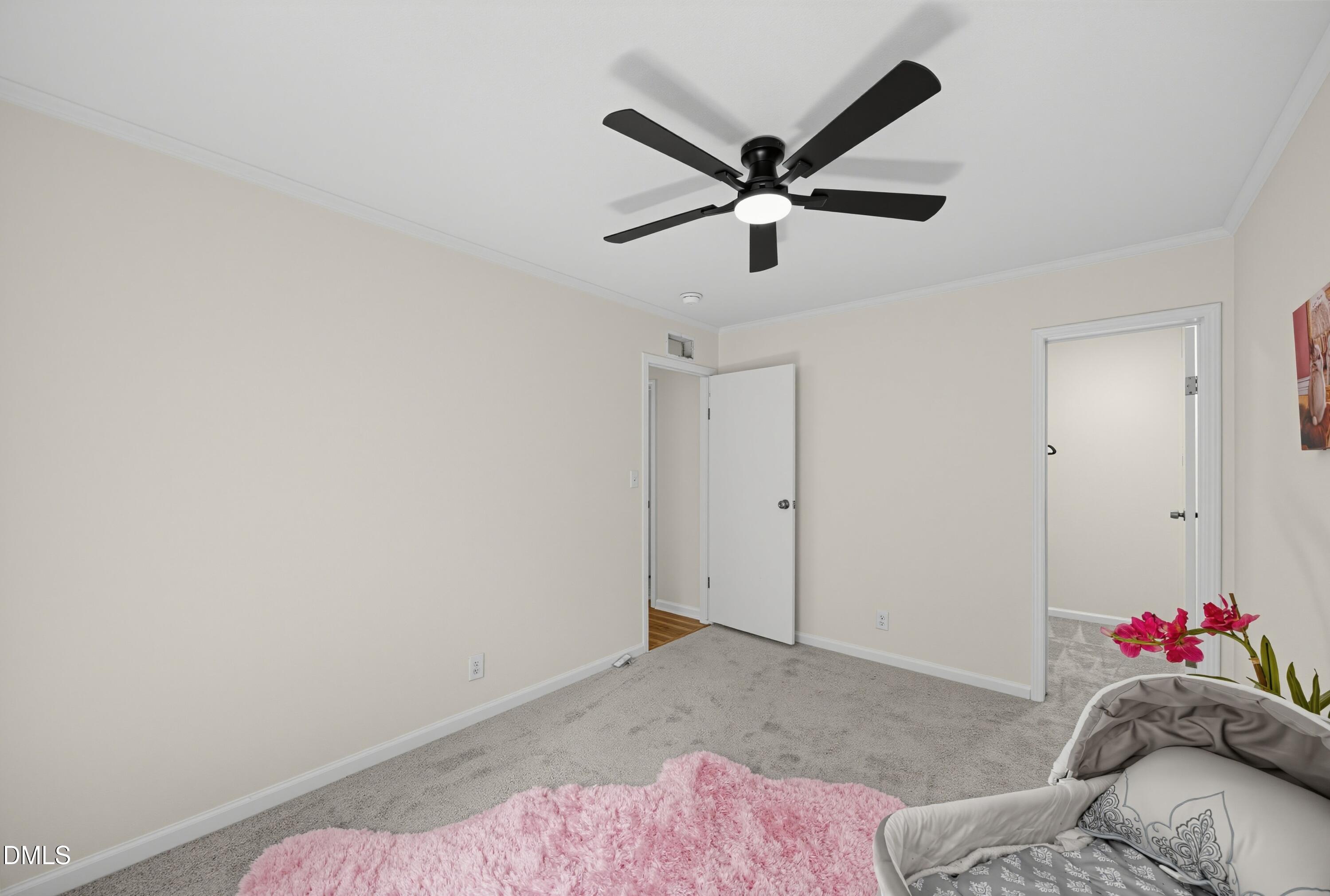 129 Pet Rock Court Property Photo 25
