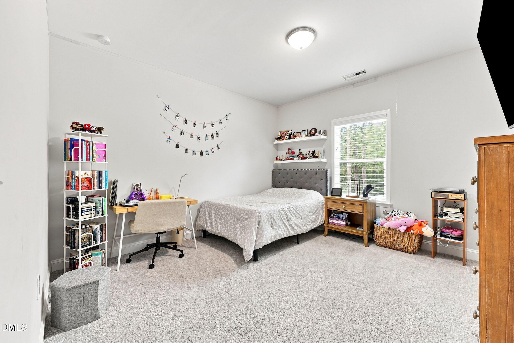 60 Gadwall Court Property Photo 26