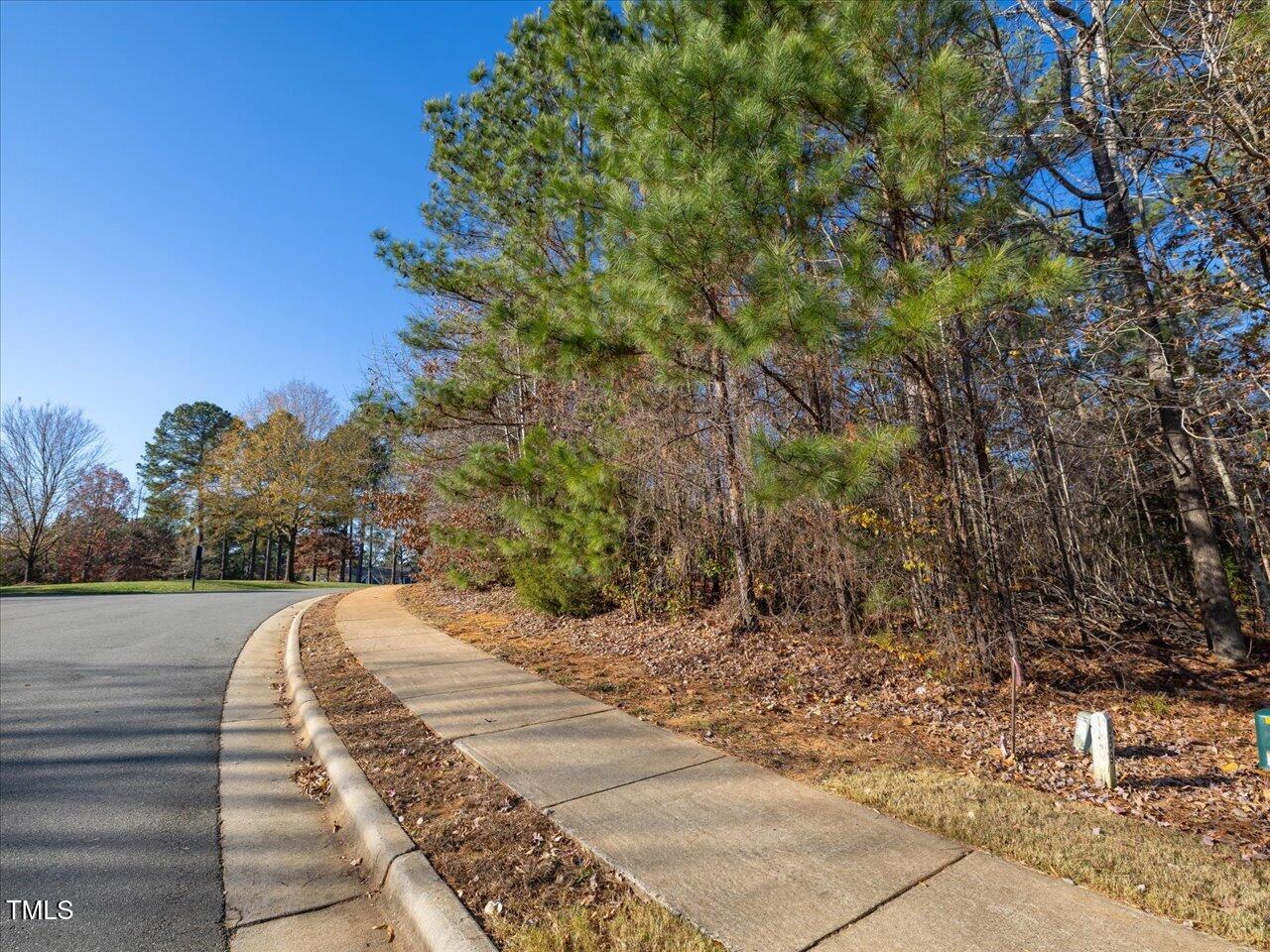 12 Cabin Creek Creek Property Photo 26