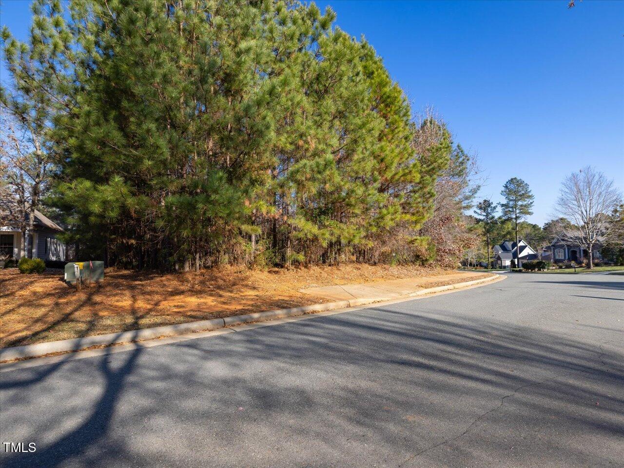 12 Cabin Creek Creek Property Photo 28