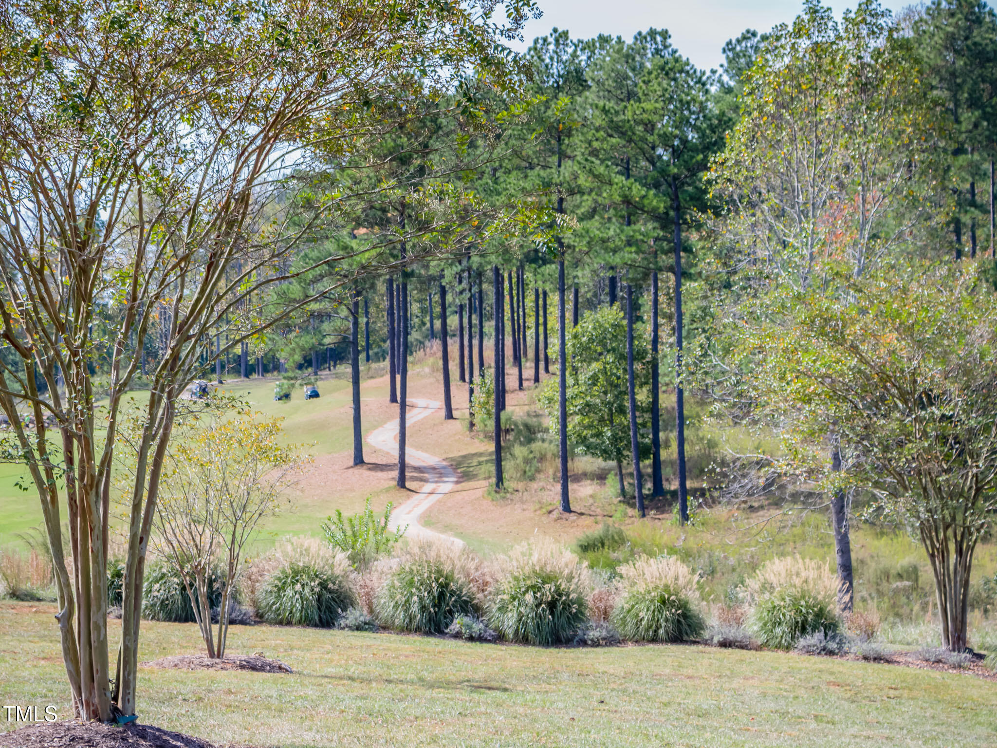 12 Cabin Creek Creek Property Photo 42
