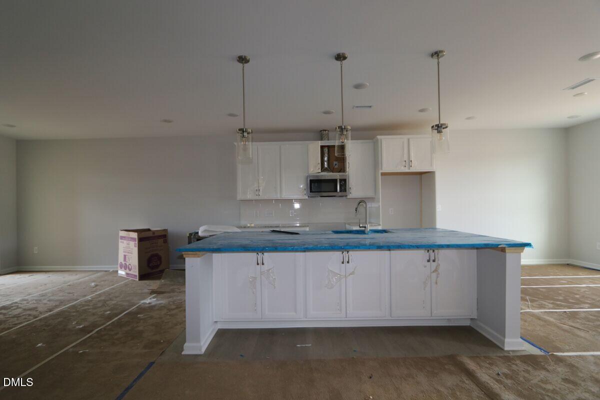 3056 Horton Ridge Boulevard Property Photo 2