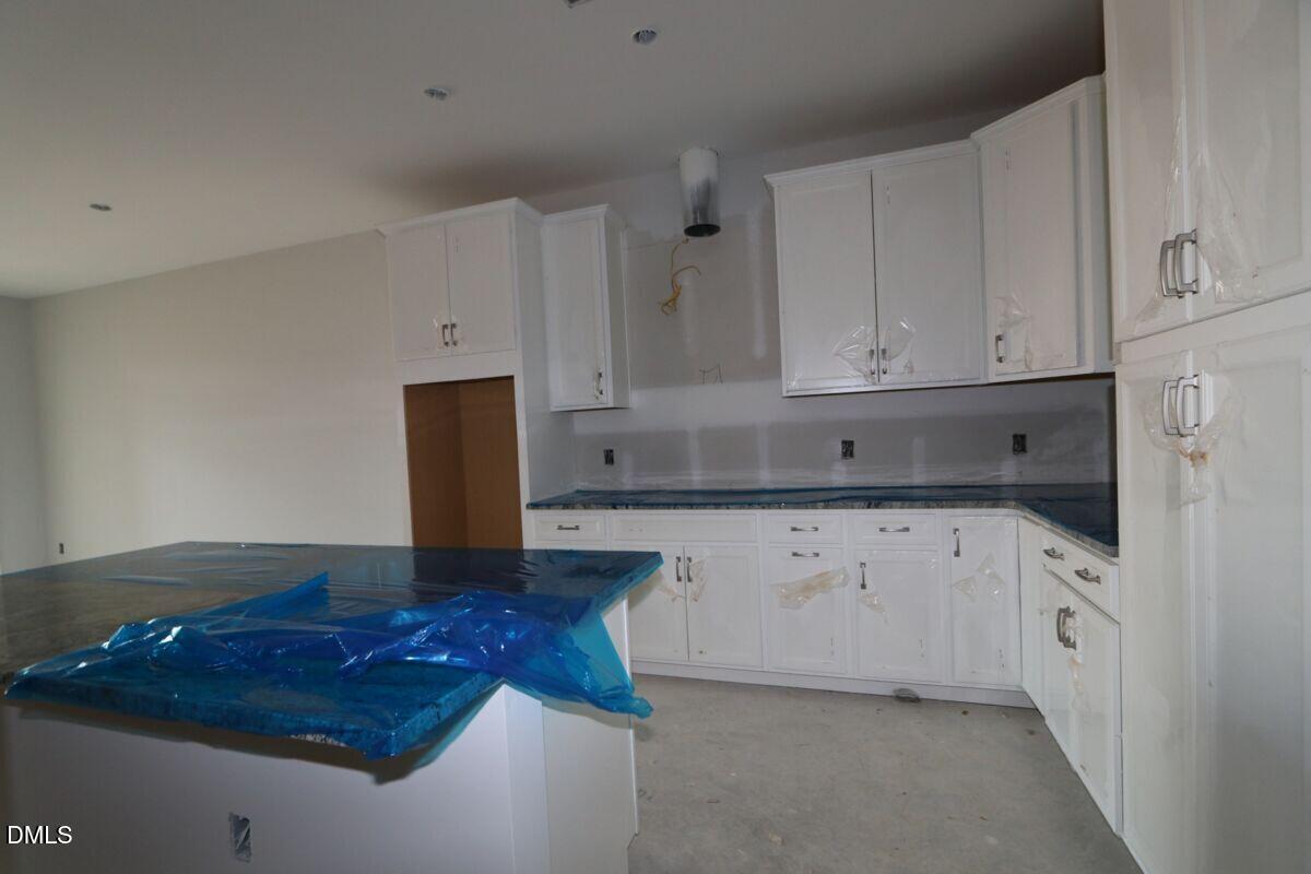 3054 Horton Ridge Boulevard Property Photo 2