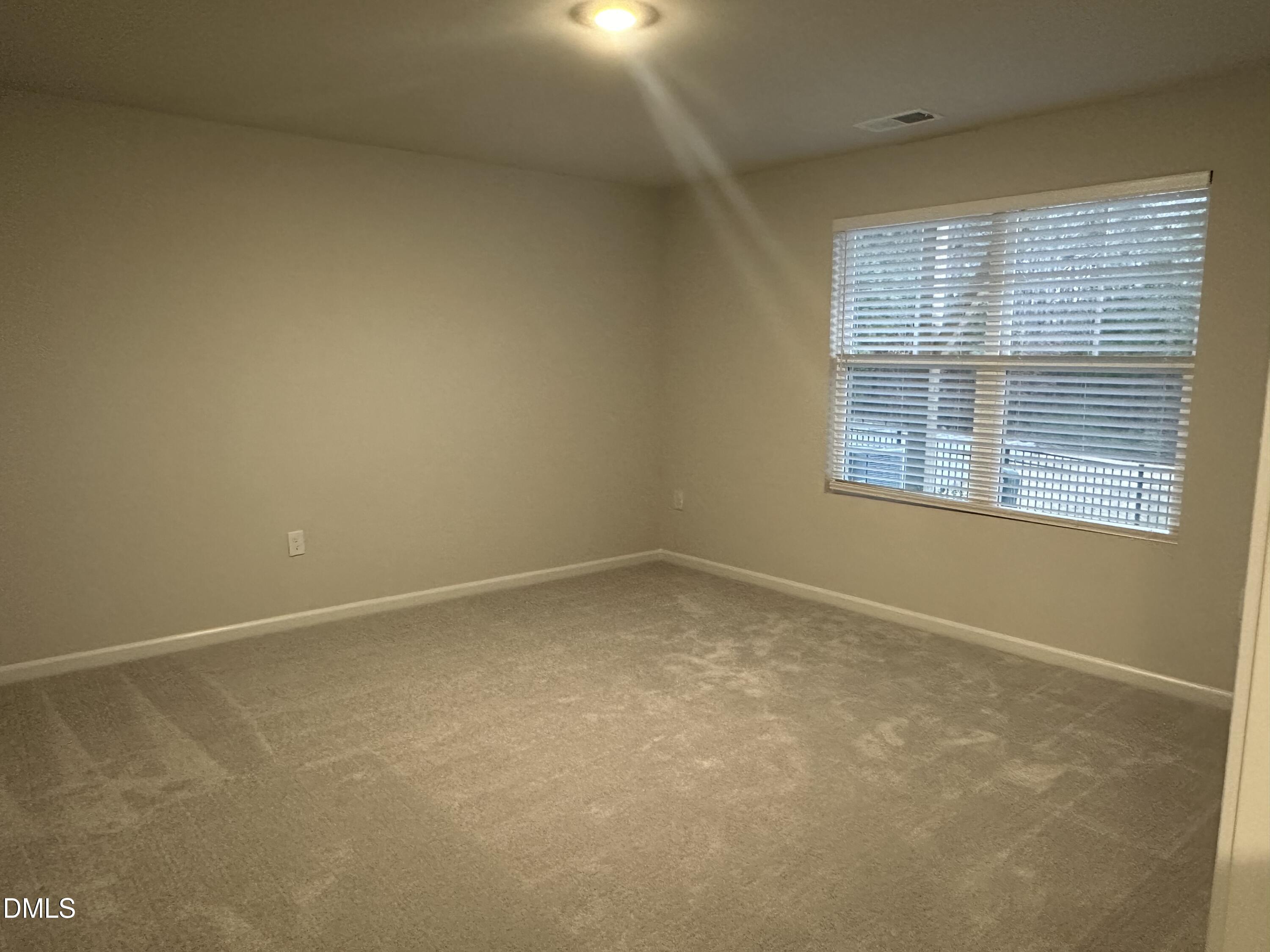 507 Tova Falls Drive Property Photo 22