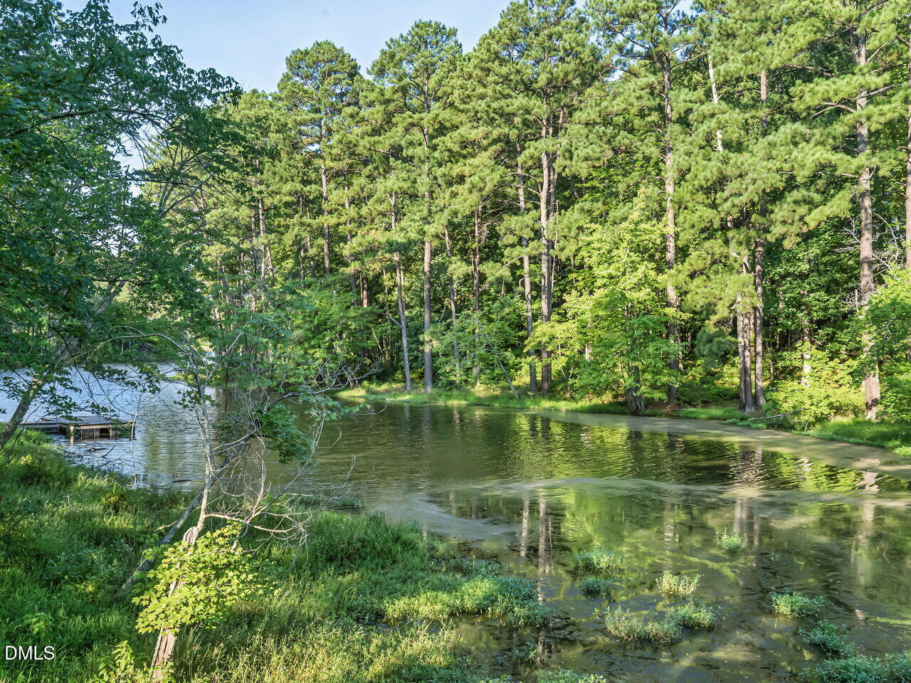 408 Lake Castleberry Drive Property Photo 60
