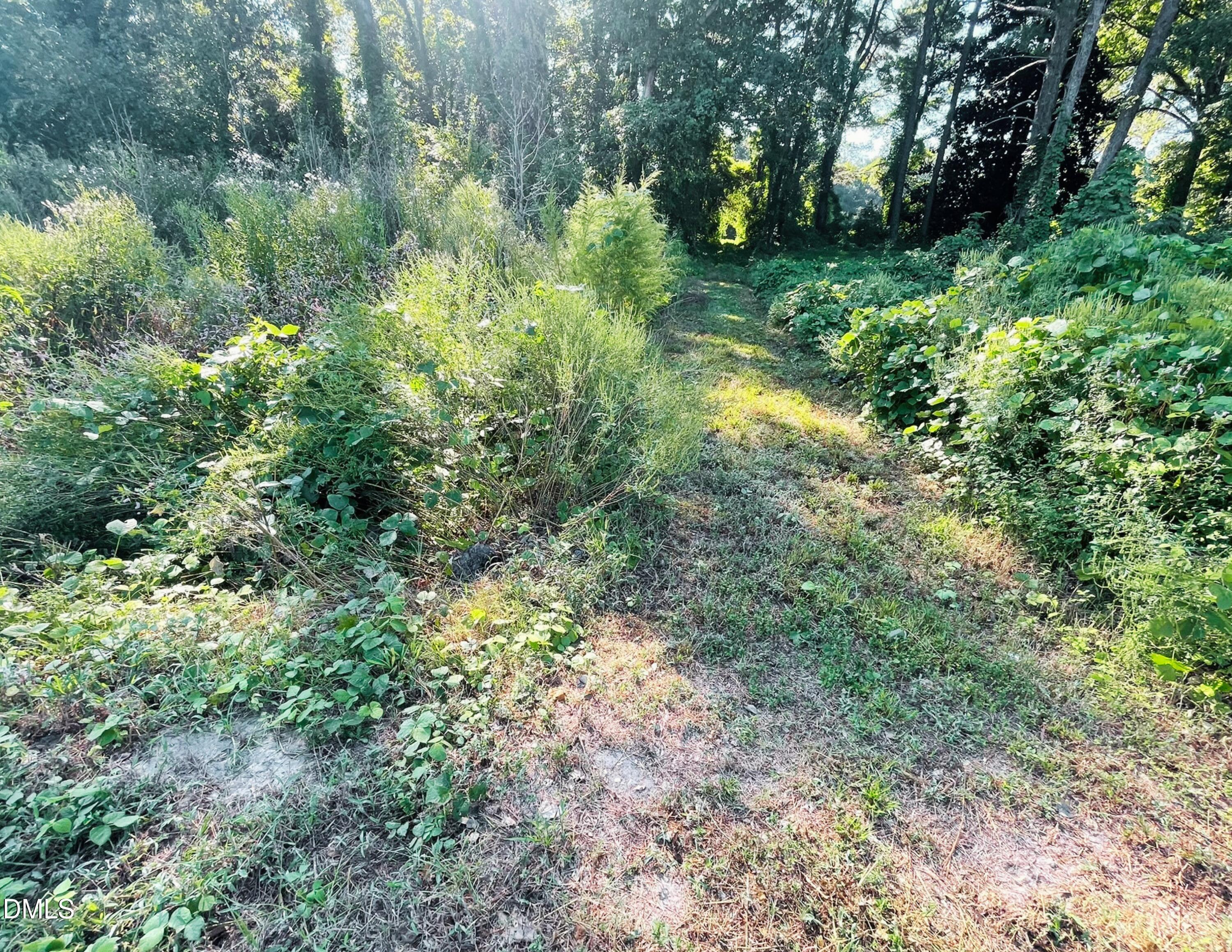 8411 Nc 27 W Property Photo 5
