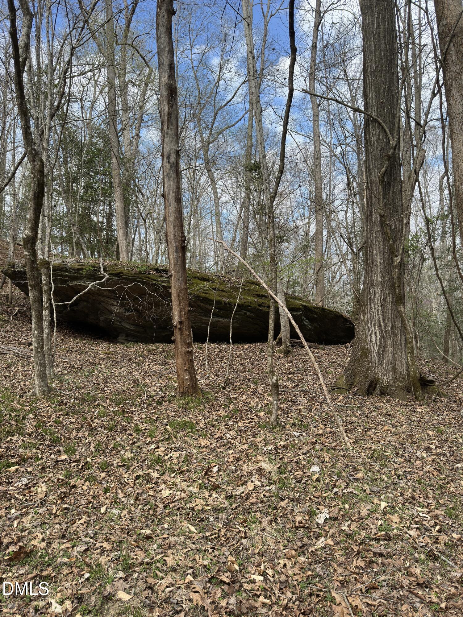 00 Seven Island (tr 2) Road Property Photo 2