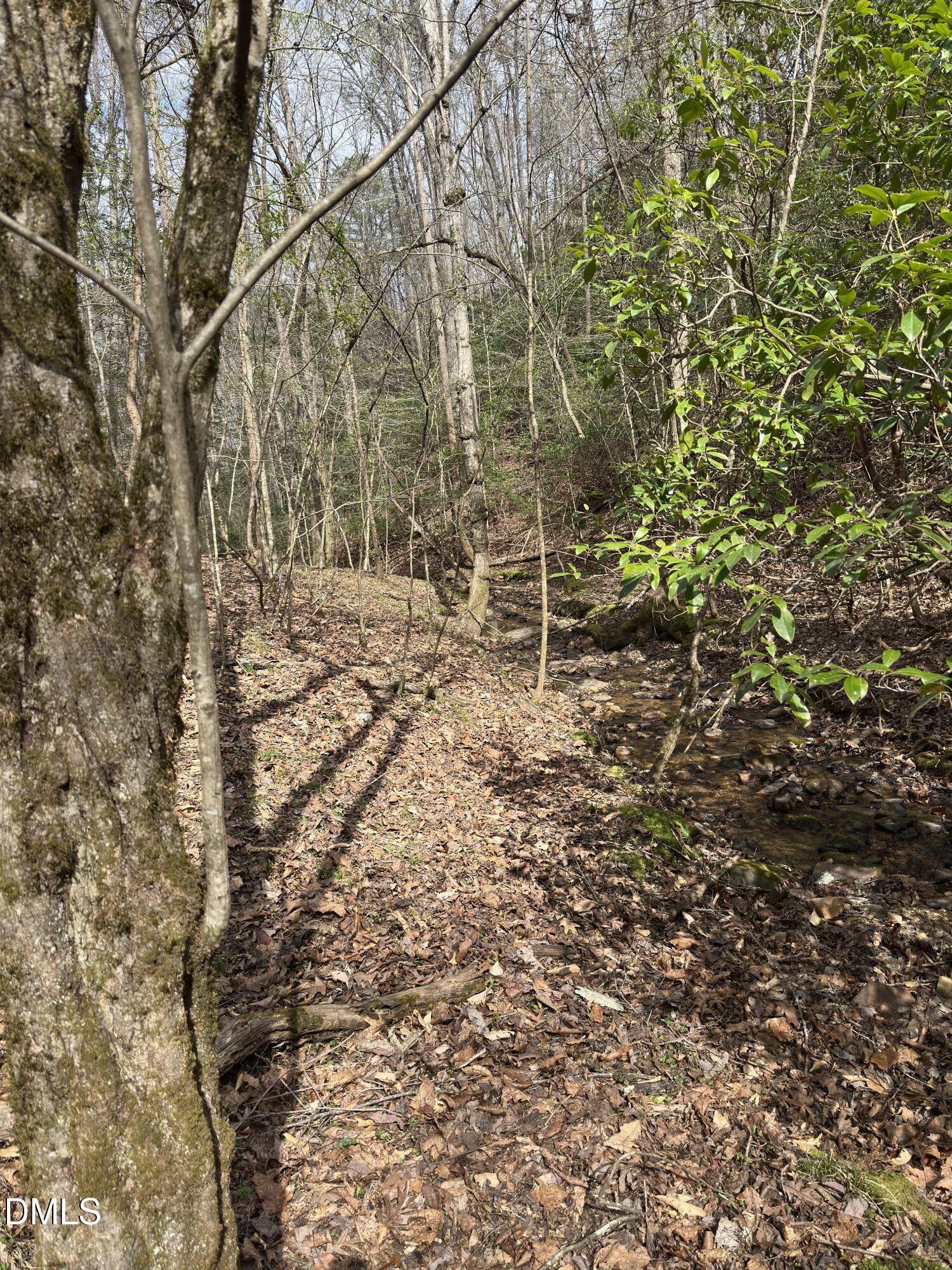 00 Seven Island (tr 2) Road Property Photo 3