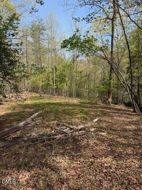 00 Seven Island (tr 2) Road Property Photo 5