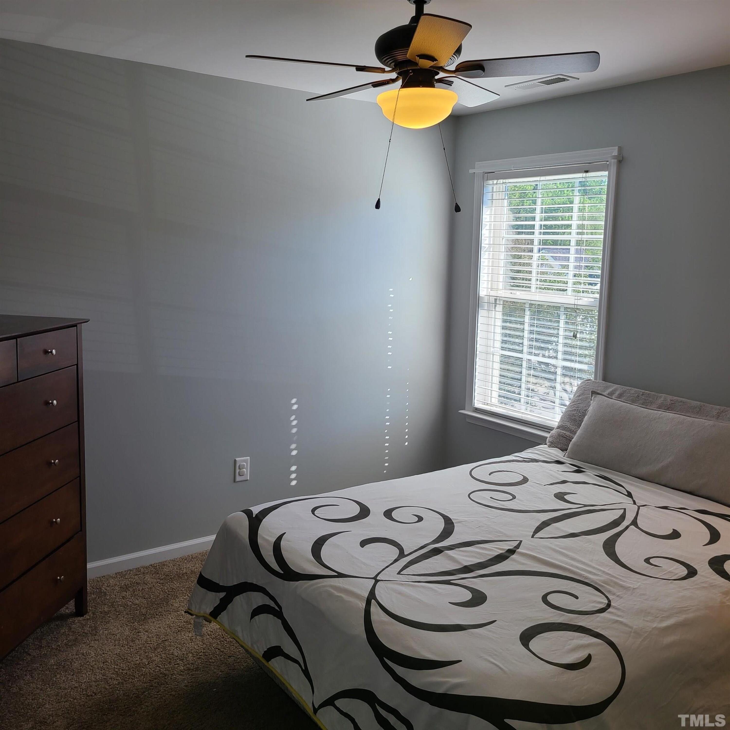 101 Autumn Glen Lane Property Photo 29