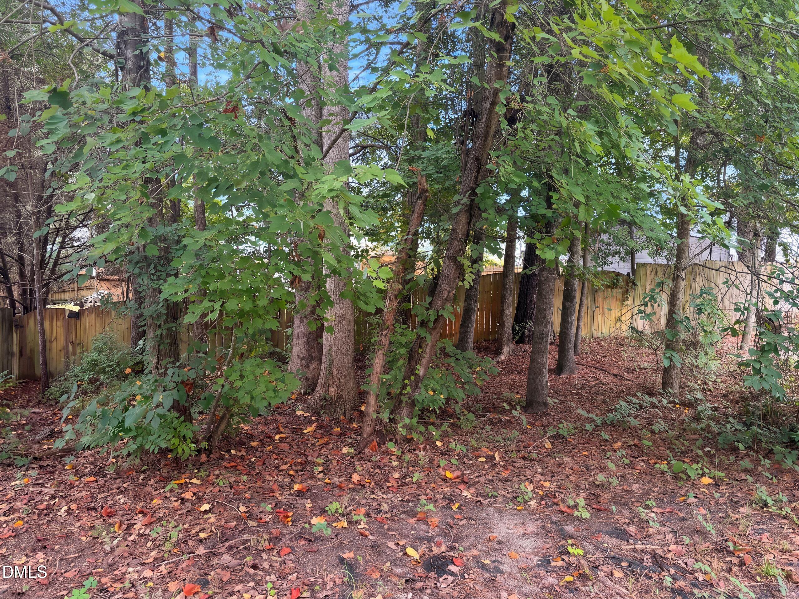 2308 Brasstown Lane Property Photo 17