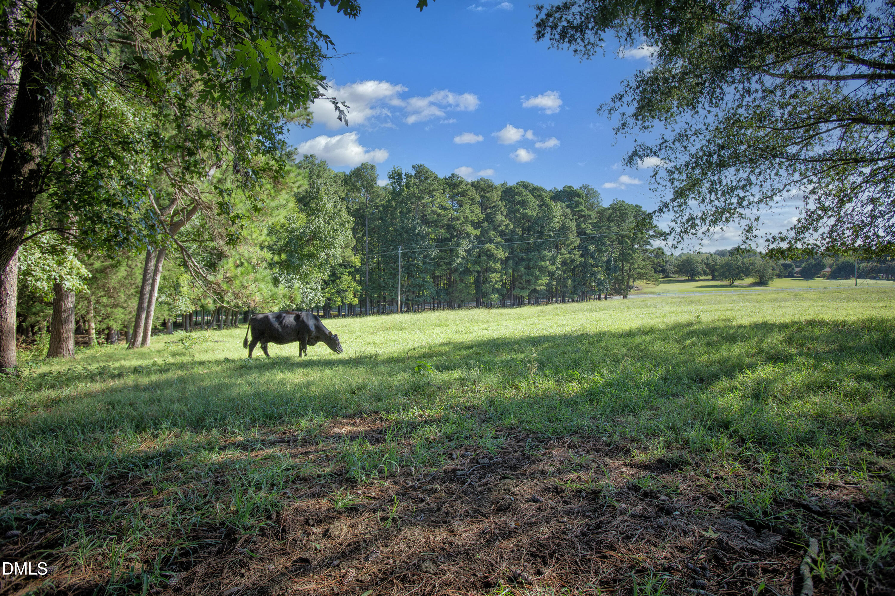32 Wes Sandling Road Property Photo 36