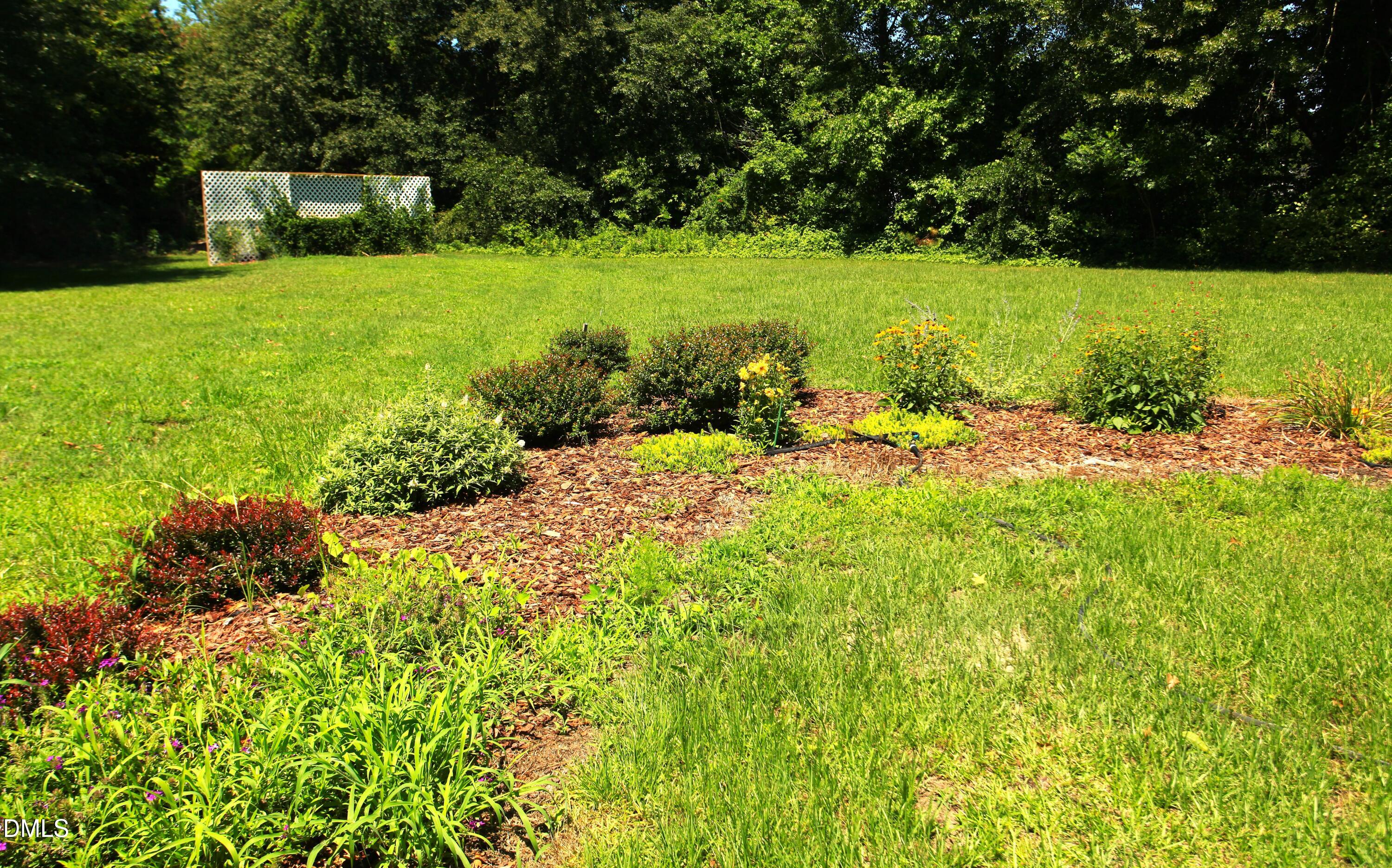 2351 Mount Pleasant Road Property Photo 30