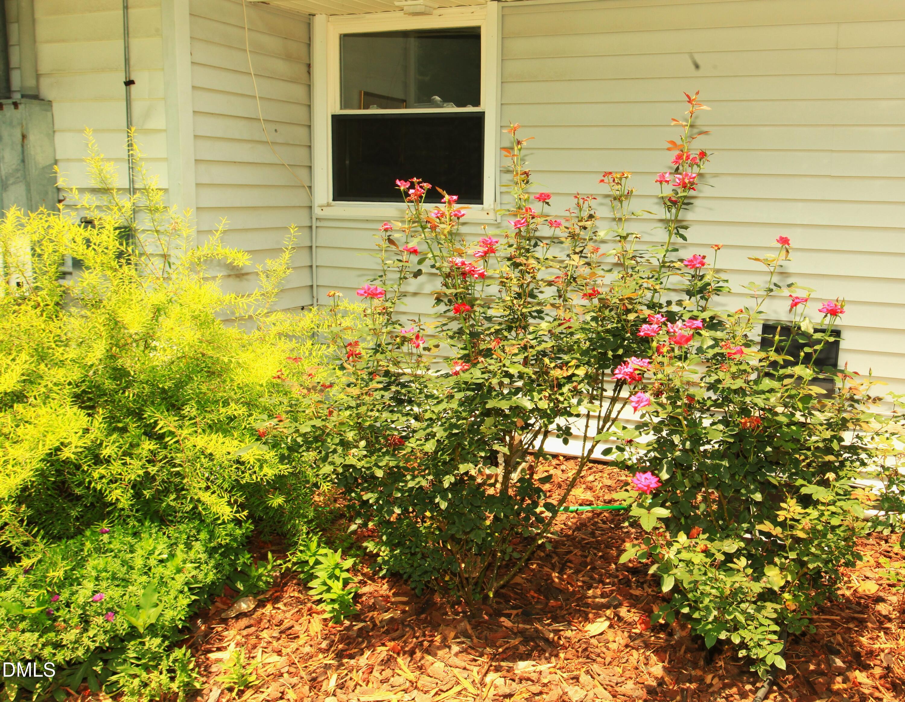 2351 Mount Pleasant Road Property Photo 36