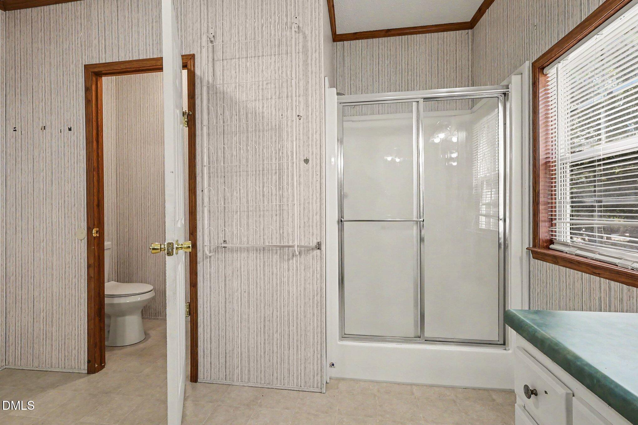 4521 Bushy Branch Drive Property Photo 14