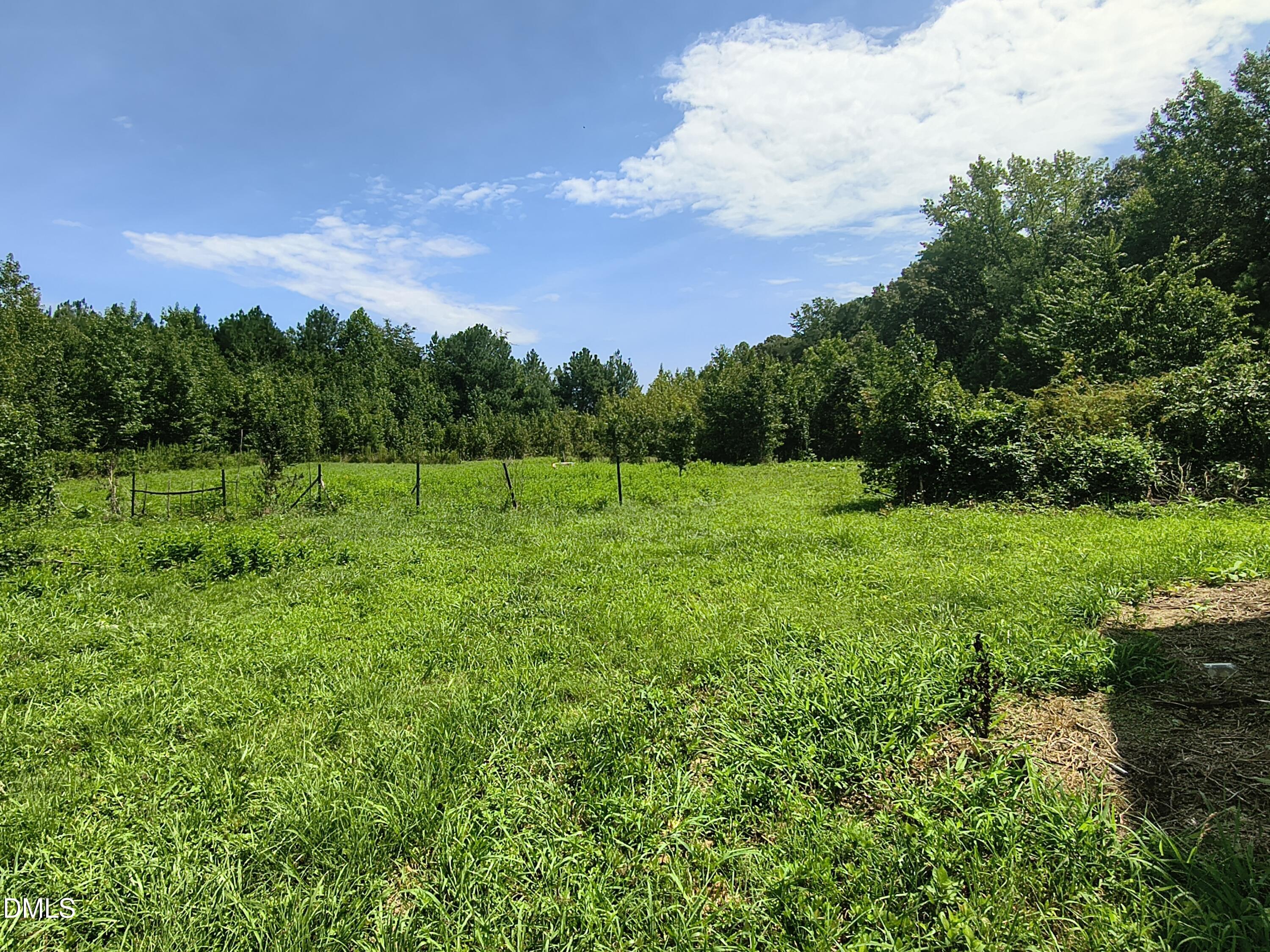 81 Mt Harmony Church Road Property Photo 5