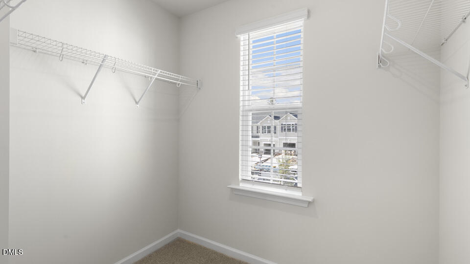 245 Otter Lodge Street Property Photo 25