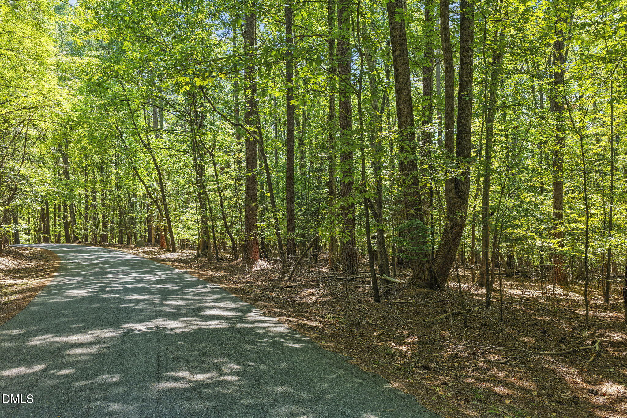 116 Oak Run Property Photo 3