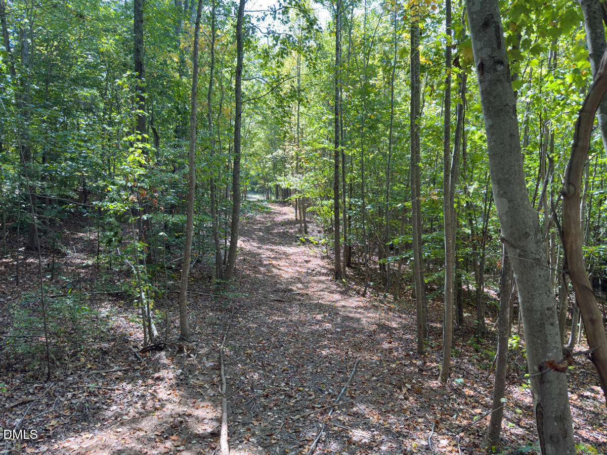 00 Park Springs Road Property Photo 10