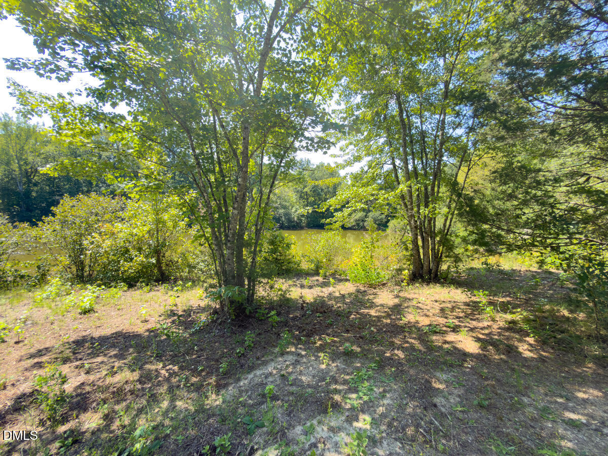 00 Park Springs Road Property Photo 11