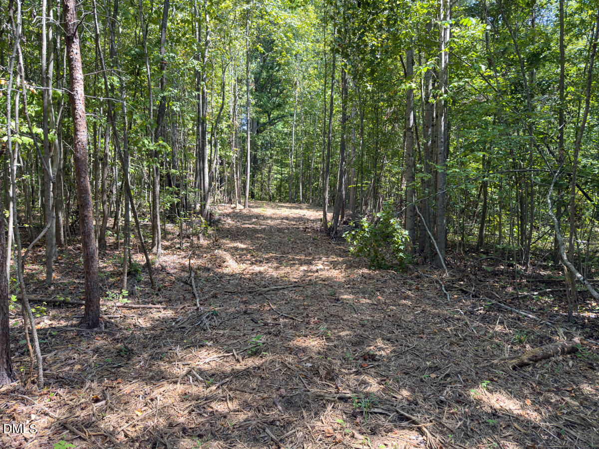00 Park Springs Road Property Photo 18