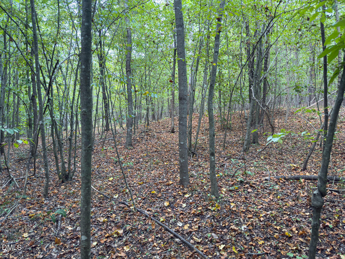 00 Park Springs Road Property Photo 20