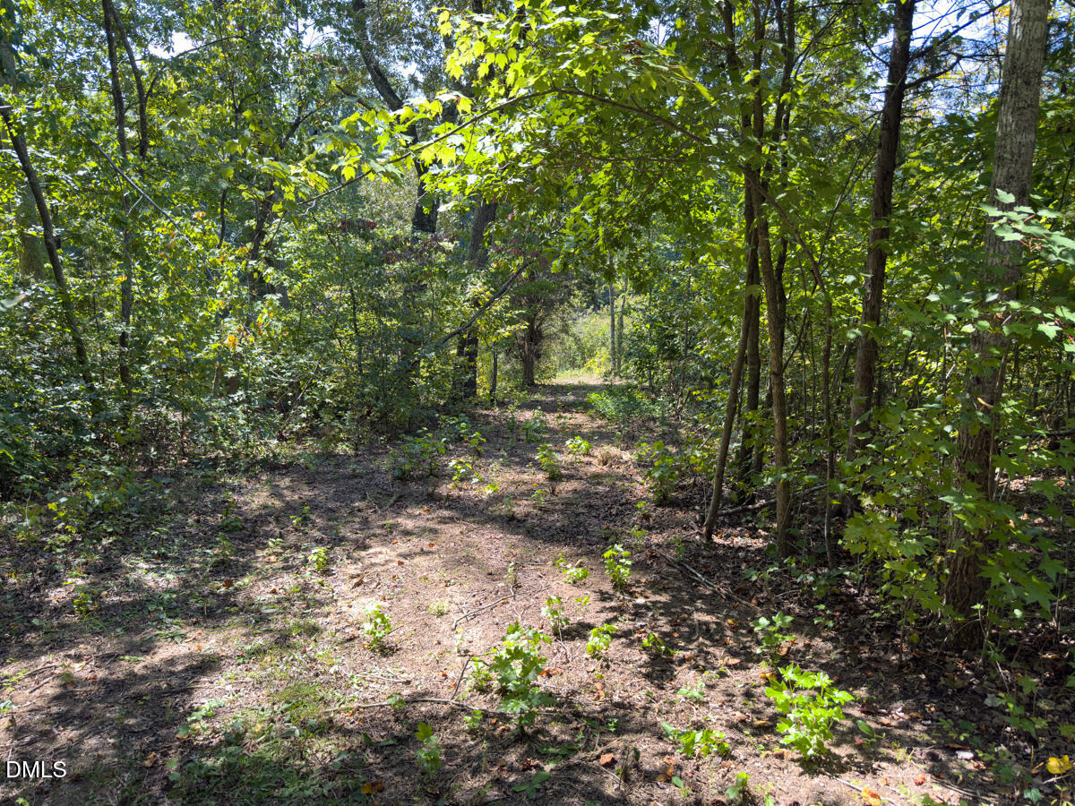00 Park Springs Road Property Photo 31