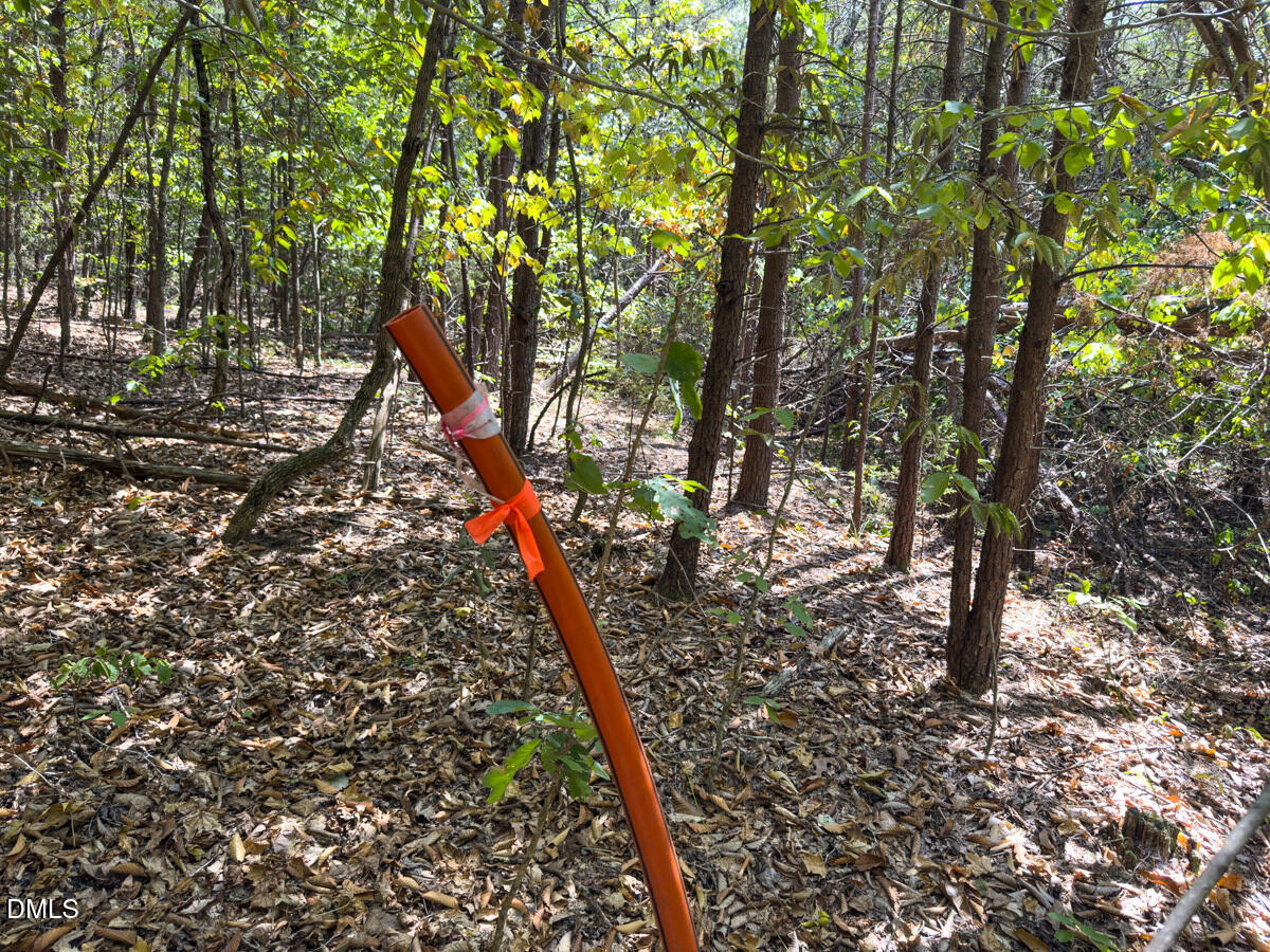 00 Park Springs Road Property Photo 32