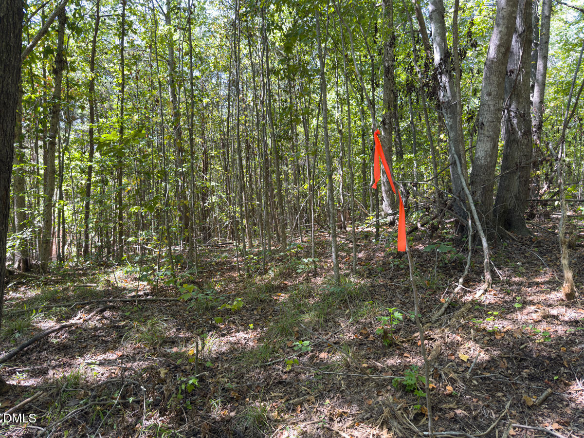 00 Park Springs Road Property Photo 34