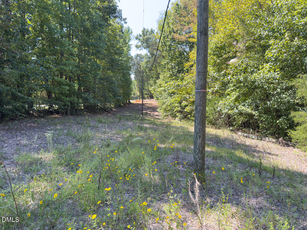 00 Park Springs Road Property Photo 40